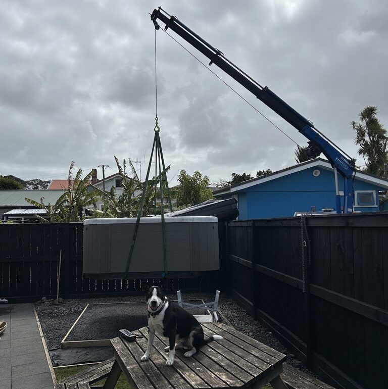 Collie dog with new spa pool